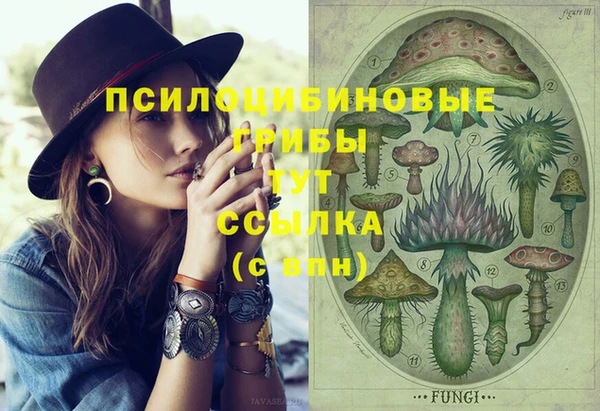 кокс Бородино